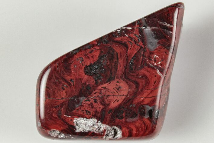 Polished Stromatolite (Collenia) - Minnesota #197555